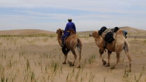 nomade Mongolie