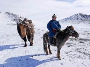 marc allaux mongolie